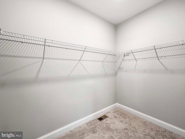 walk in closet with carpet floors