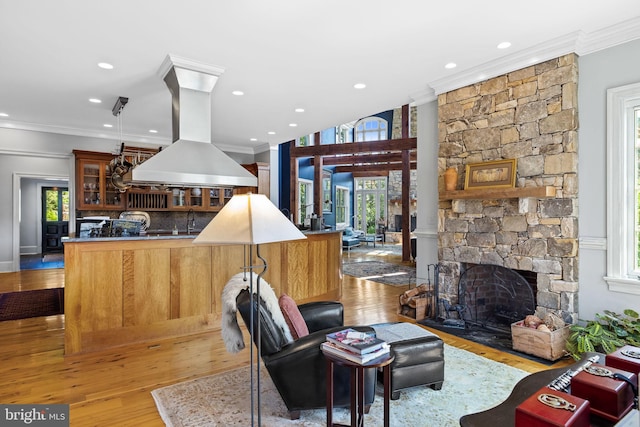 living room with light hardwood / wood-style floors, a stone fireplace, crown molding, and sink