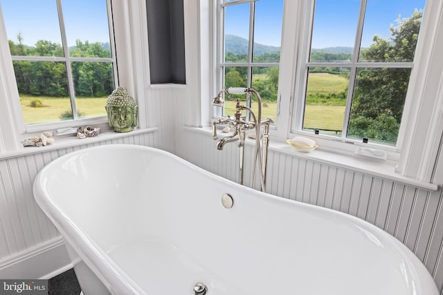 bathroom featuring a healthy amount of sunlight and a tub