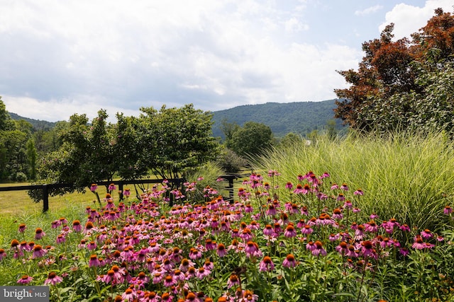 view of mountain feature