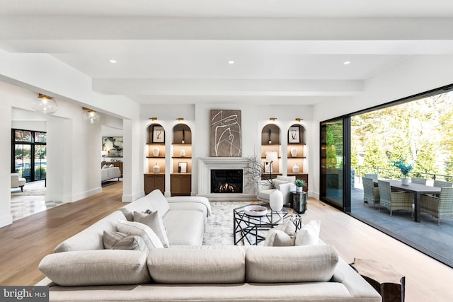 living room featuring light hardwood / wood-style floors