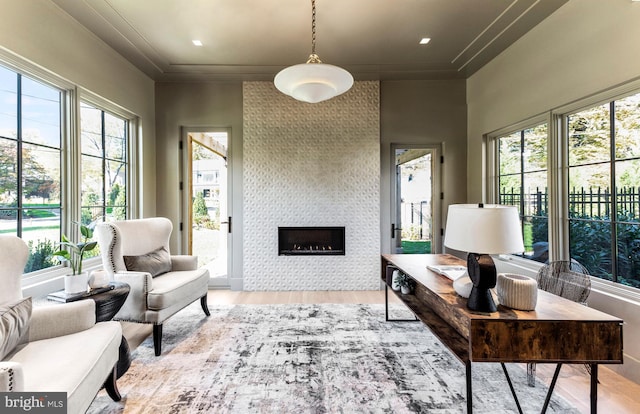 interior space with a fireplace, plenty of natural light, and a raised ceiling