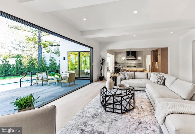 living room featuring light hardwood / wood-style floors