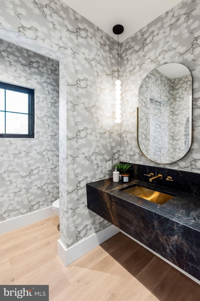 bathroom featuring vanity, toilet, and wood-type flooring