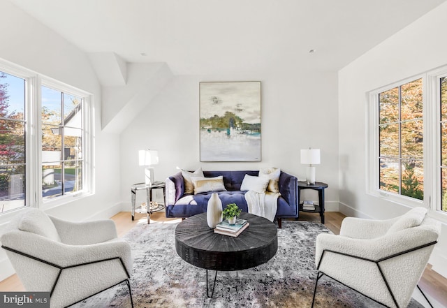 living room with lofted ceiling and hardwood / wood-style flooring