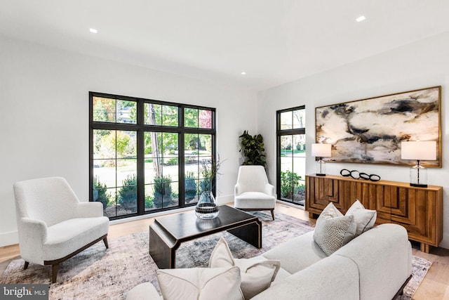 living room with light hardwood / wood-style flooring