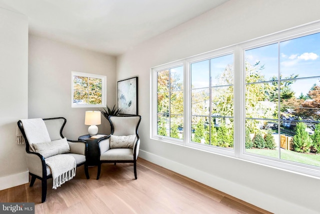 living area featuring light hardwood / wood-style flooring and a healthy amount of sunlight