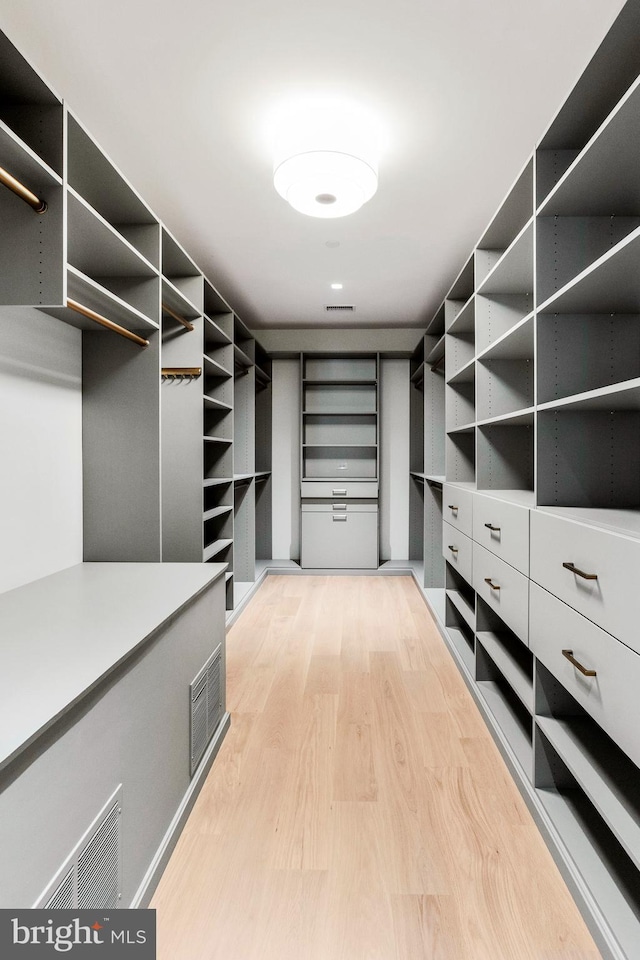 spacious closet with light wood-type flooring