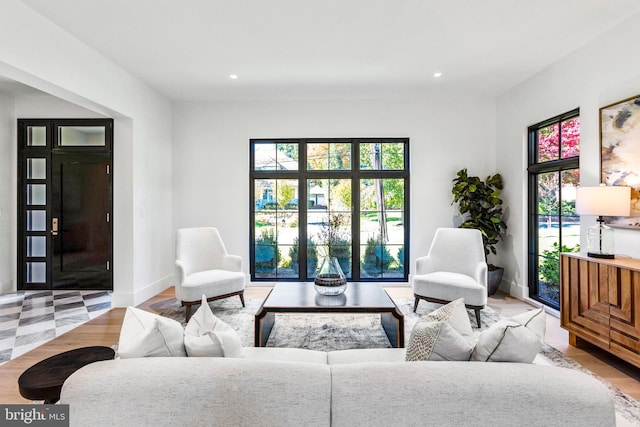 living room featuring hardwood / wood-style floors