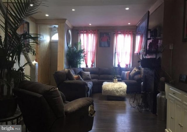 living room featuring dark hardwood / wood-style floors