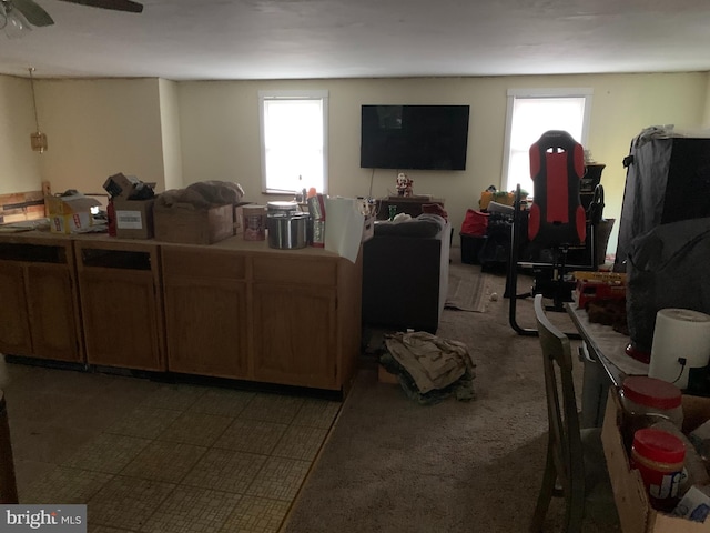 living room with ceiling fan and a healthy amount of sunlight