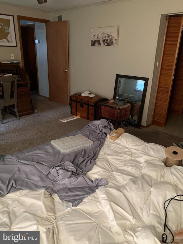 bedroom featuring a closet and light colored carpet