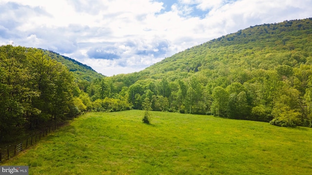 160 Capon Springs Grade Grade, Star Tannery VA, 22654 land for sale