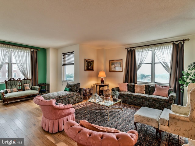 living room with light hardwood / wood-style floors