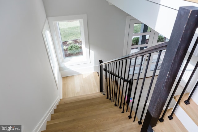 stairs featuring light hardwood / wood-style flooring and a healthy amount of sunlight