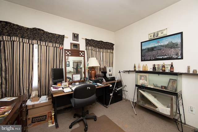 view of carpeted office