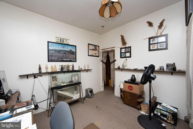 workout room featuring light colored carpet