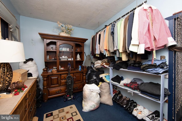 walk in closet with dark colored carpet