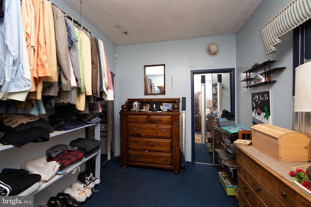 spacious closet featuring dark colored carpet