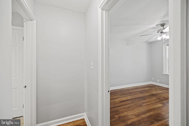 corridor with dark hardwood / wood-style floors