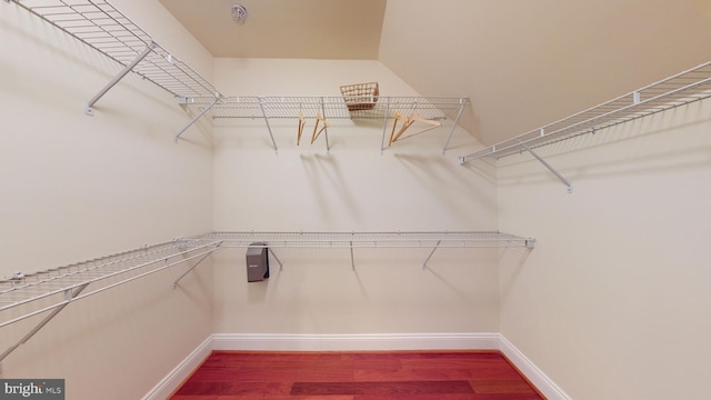 walk in closet featuring wood-type flooring