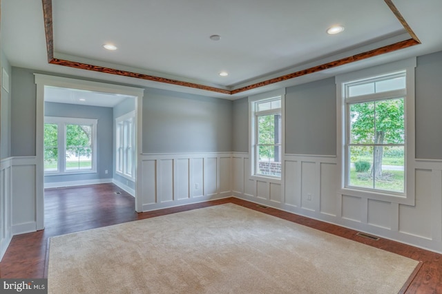 unfurnished room featuring dark hardwood / wood-style flooring, plenty of natural light, and a raised ceiling