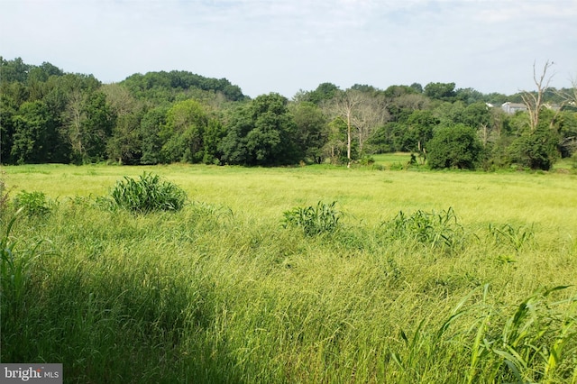 view of mother earth's splendor with a rural view