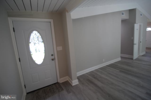 entrance foyer featuring dark wood-type flooring