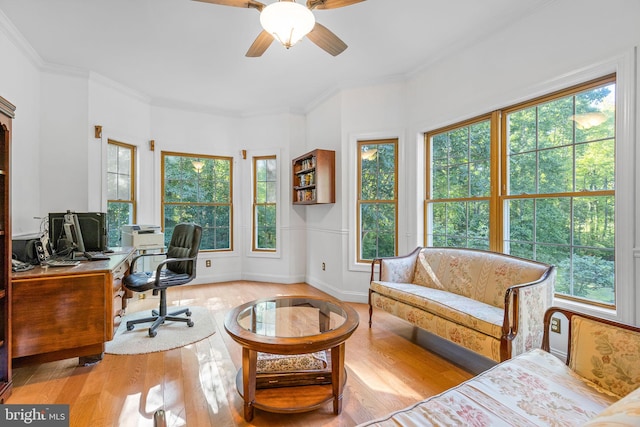 office featuring ornamental molding, a wealth of natural light, and light hardwood / wood-style flooring