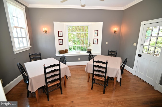 dining room with ceiling fan, crown molding, hardwood / wood-style floors, and a healthy amount of sunlight