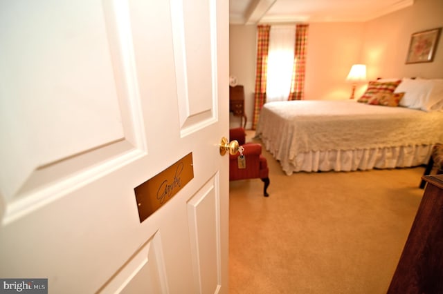 view of carpeted bedroom