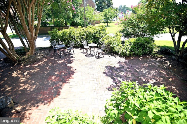 view of yard with a patio area