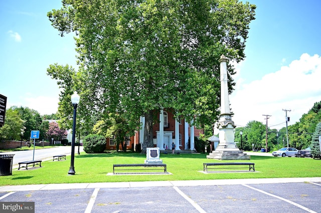 view of parking with a lawn