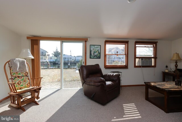 living room with plenty of natural light and carpet floors