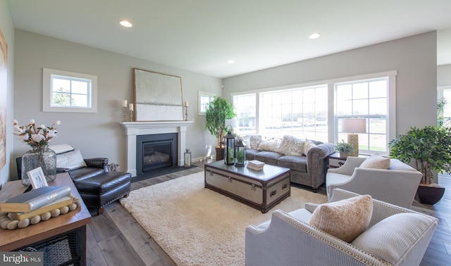 living room with a wealth of natural light and wood-type flooring