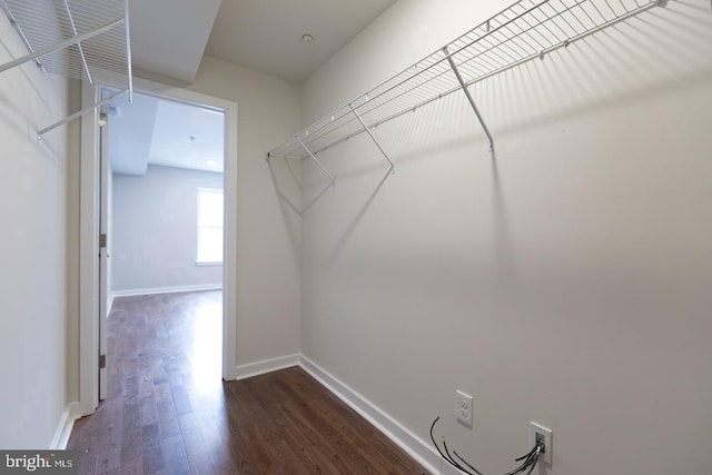 walk in closet with dark hardwood / wood-style flooring