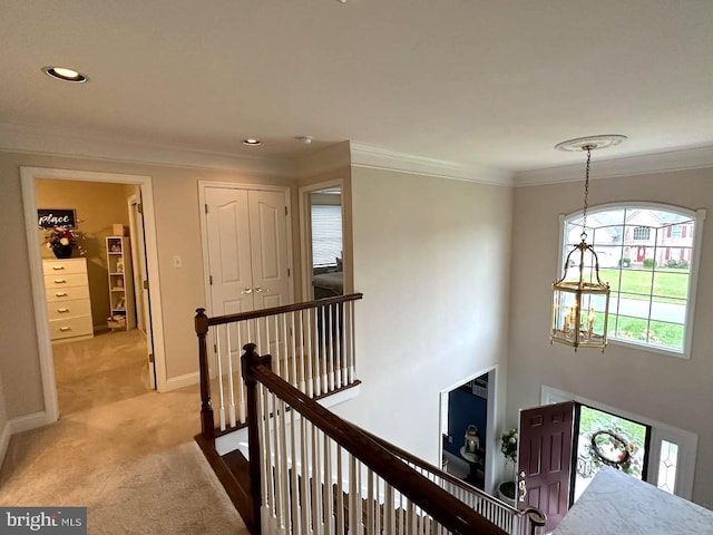 hallway with crown molding, light colored carpet, and a chandelier