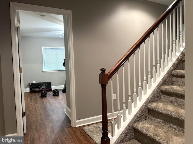 staircase with dark hardwood / wood-style floors