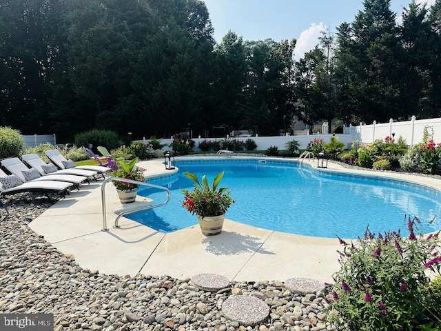 view of swimming pool featuring a patio