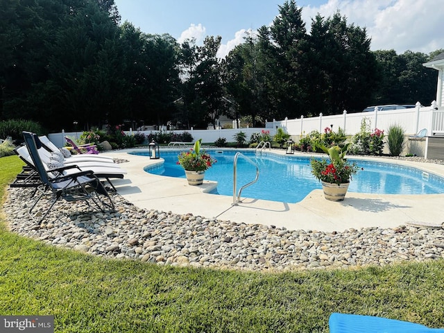 view of swimming pool with a patio area