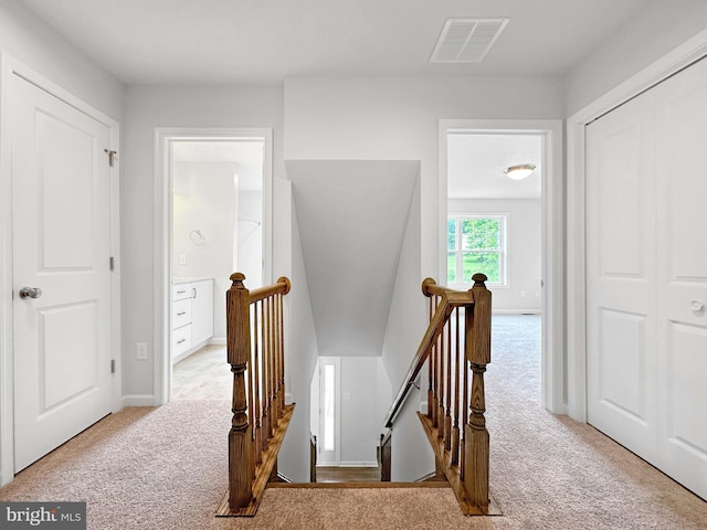 staircase featuring carpet flooring