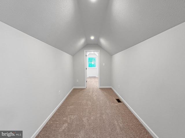 additional living space featuring carpet flooring, a textured ceiling, and lofted ceiling