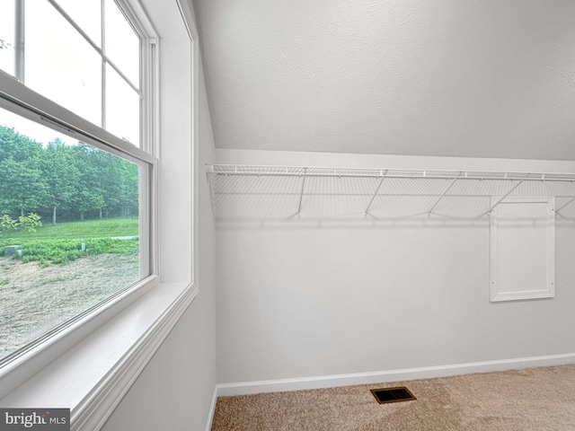 spacious closet featuring carpet flooring