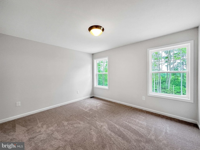 spare room with carpet flooring and a healthy amount of sunlight