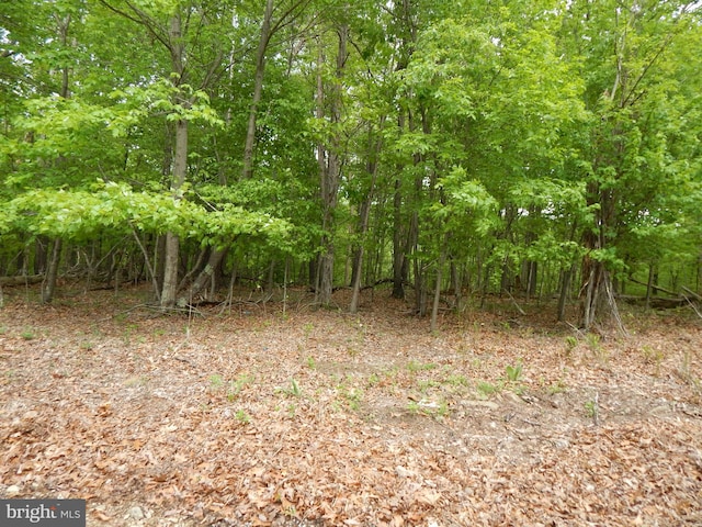 Plum Tree Ln, Berkeley Springs WV, 25411 land for sale