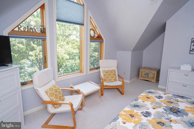 carpeted bedroom featuring vaulted ceiling