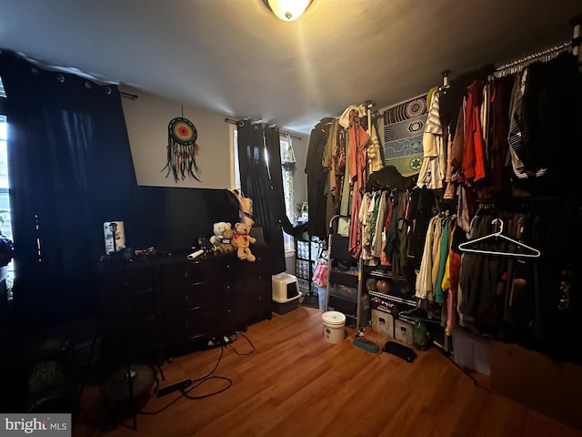 walk in closet featuring wood-type flooring