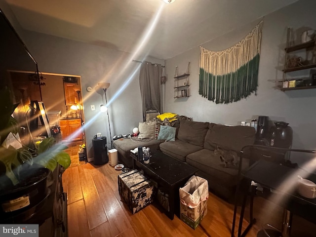 living room with light hardwood / wood-style flooring