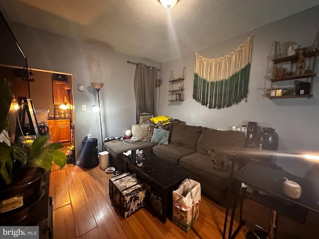 living room with wood-type flooring