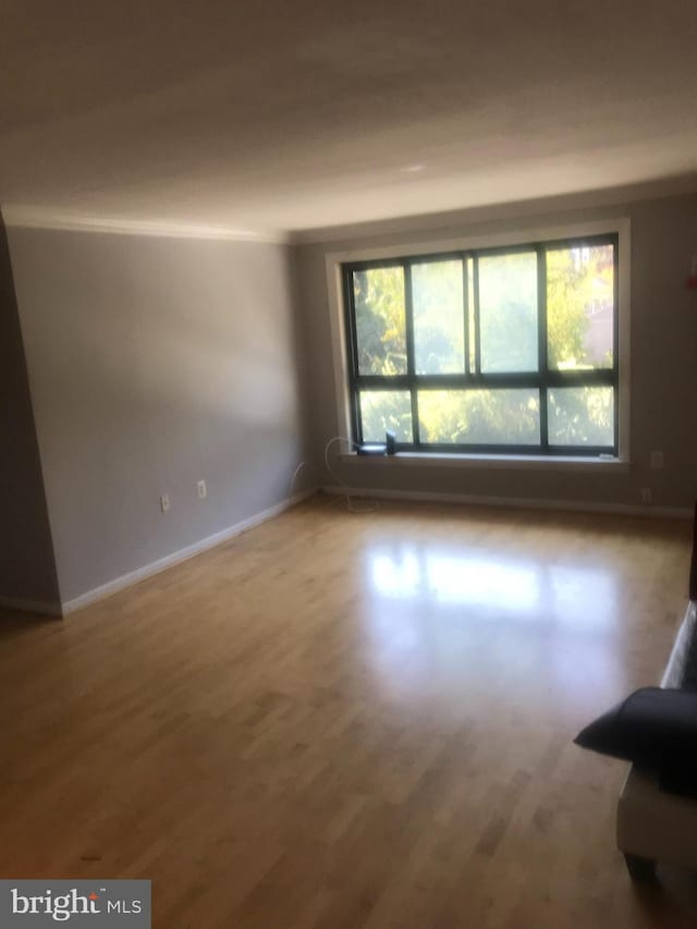 spare room with wood-type flooring